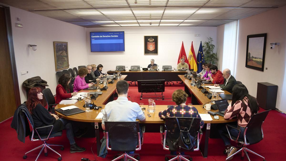 Una comisión de Derechos Sociales, Economía Social y Empleo del Parlamento de Navarra.