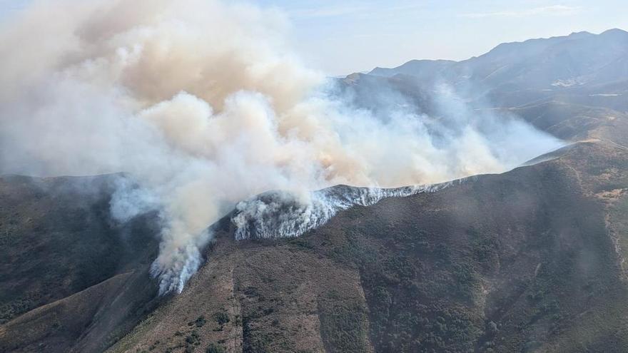Localizan a cinco ganaderos que desaparecieron en León al salir a rescatar a sus animales