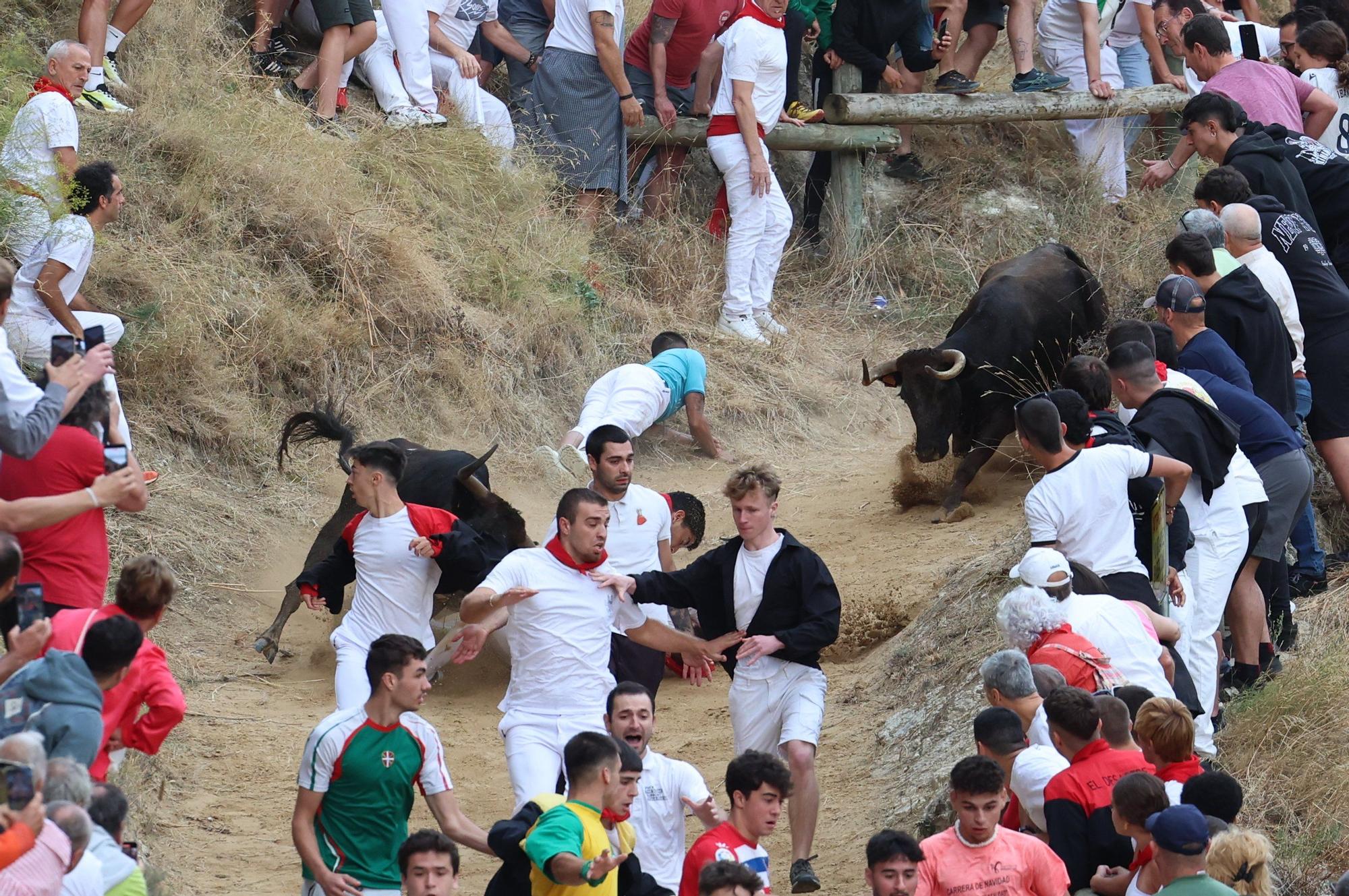 Fotos del tercer encierro del Pilón de Falces 2025