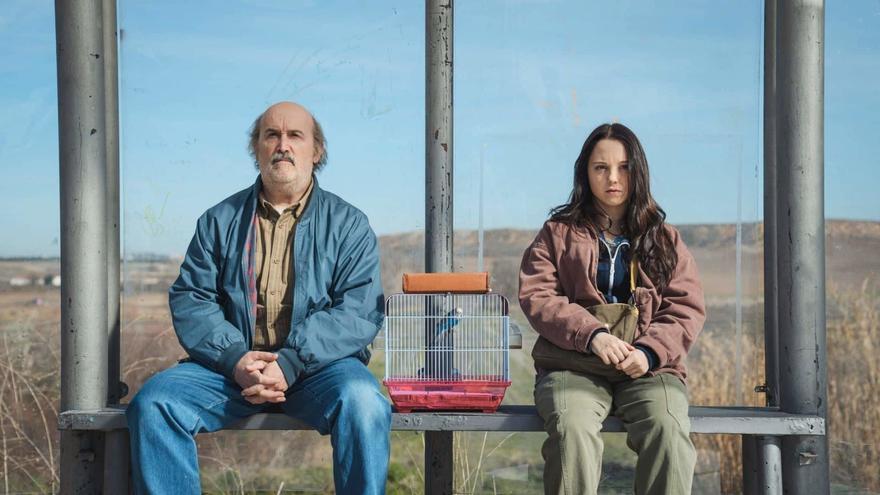 Los creadores de &#039;Celeste&#039; nos llevan a ‘Yakarta’ con Javier Cámara