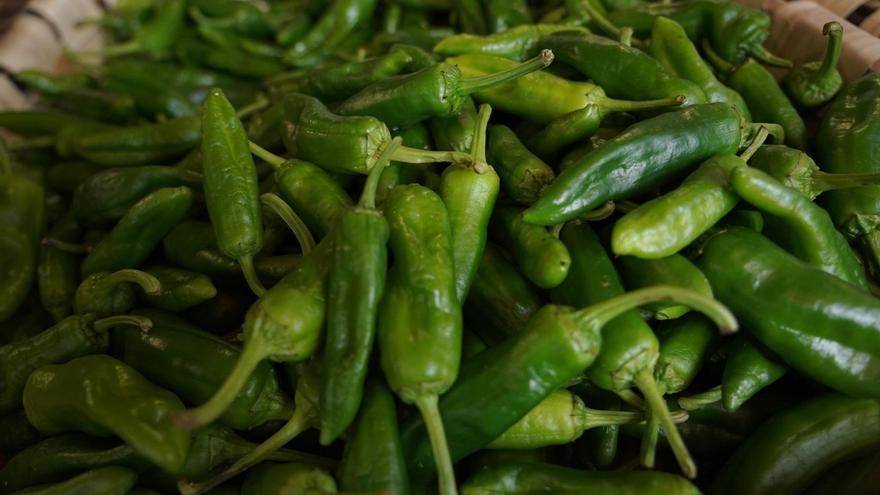 El pimiento verde de Gernika, uno de los protagonistas de la feria