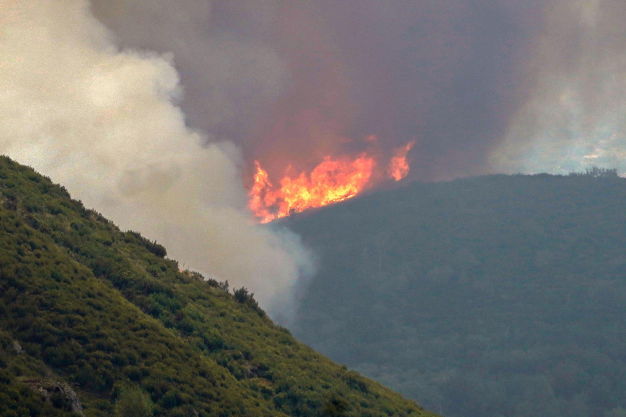 Semana negra de incendios: Cuatro muertos y 120.000 hectáreas quemadas