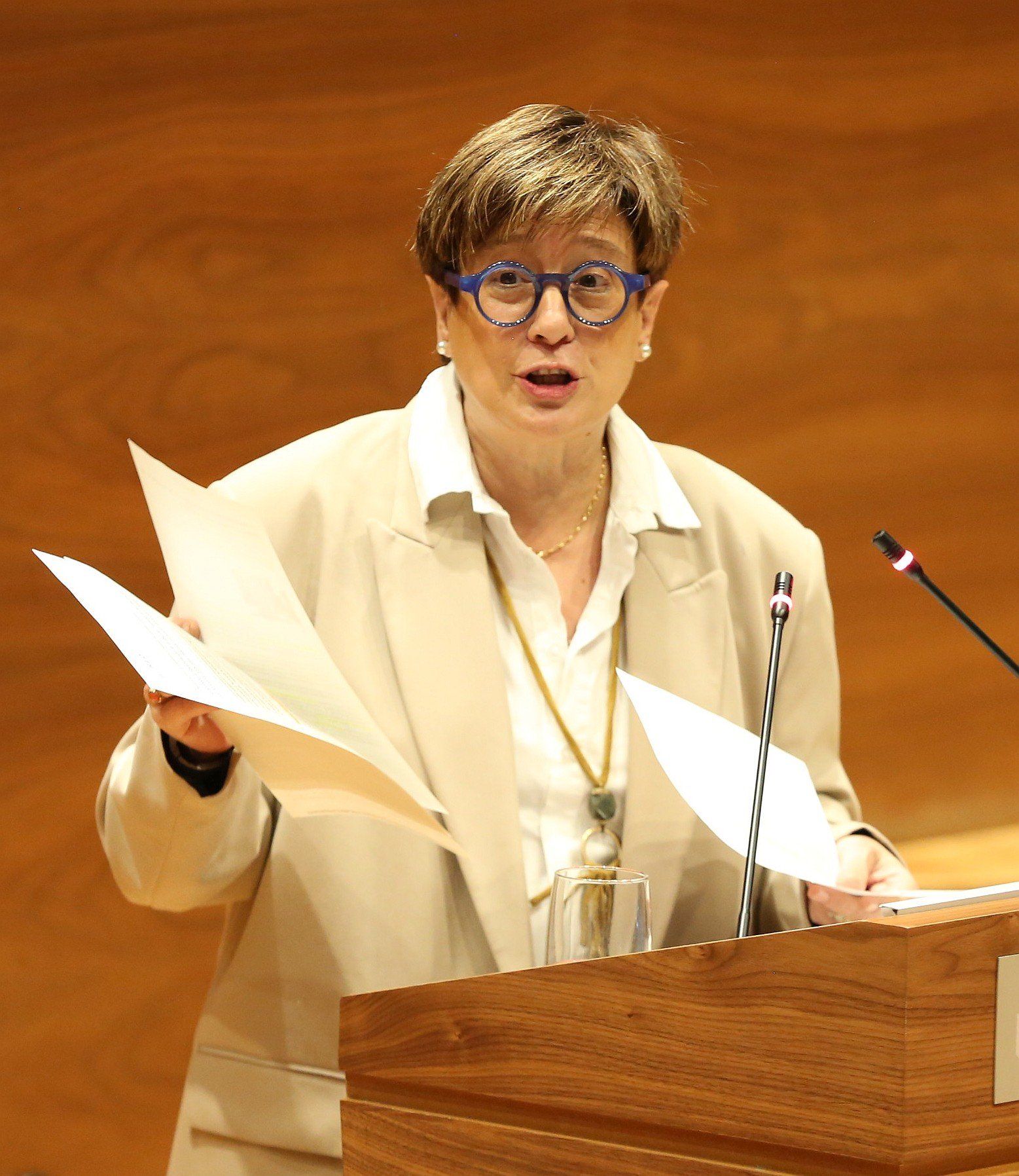 Fotos del pleno del Parlamento de Navarra de este 6 de noviembre