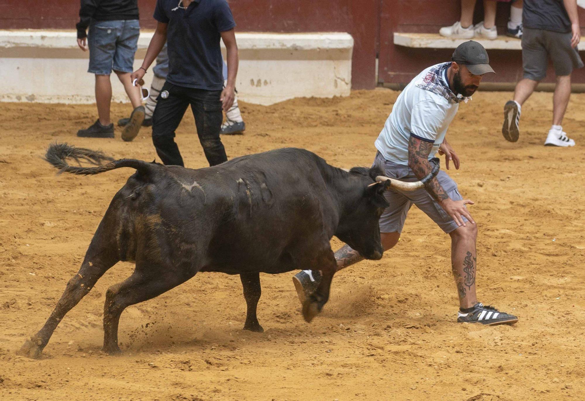 Eb imágenes: Las vaquillas reinan en el Iradier Arena