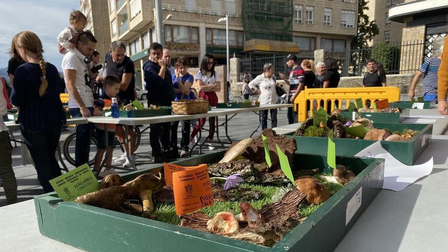 La pasión por la micología toma Galdakao con sesión de show cooking y la arraigada exposición de setas