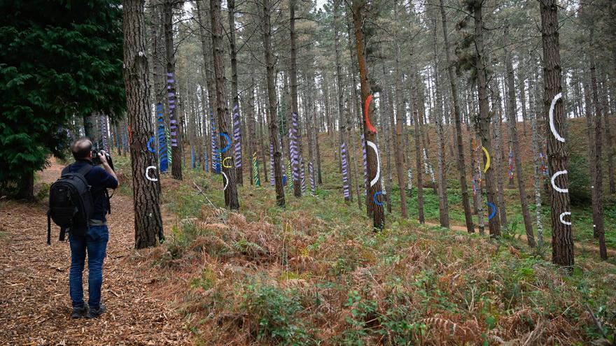 Museos y enclaves de interés cultural para curiosear en Bizkaia