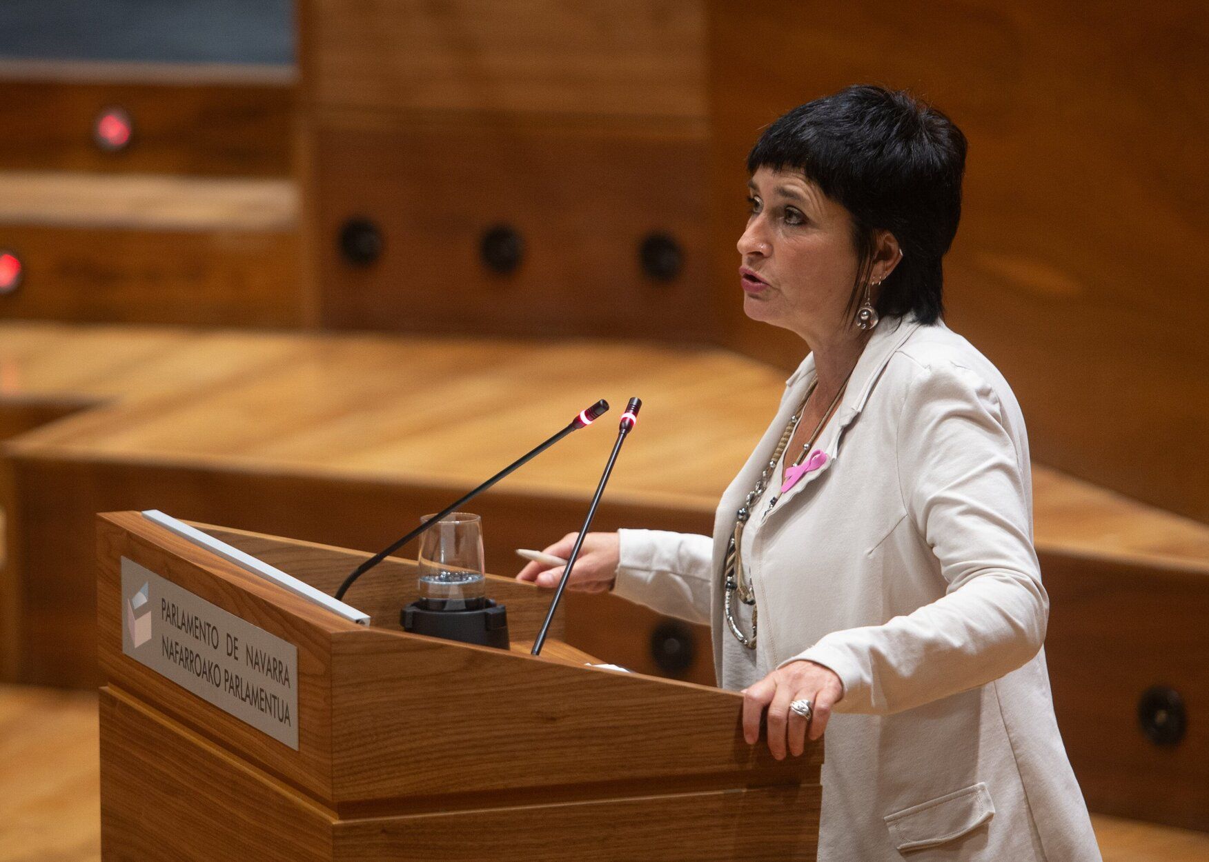 Fotos del pleno del Parlamento de Navarra de este jueves