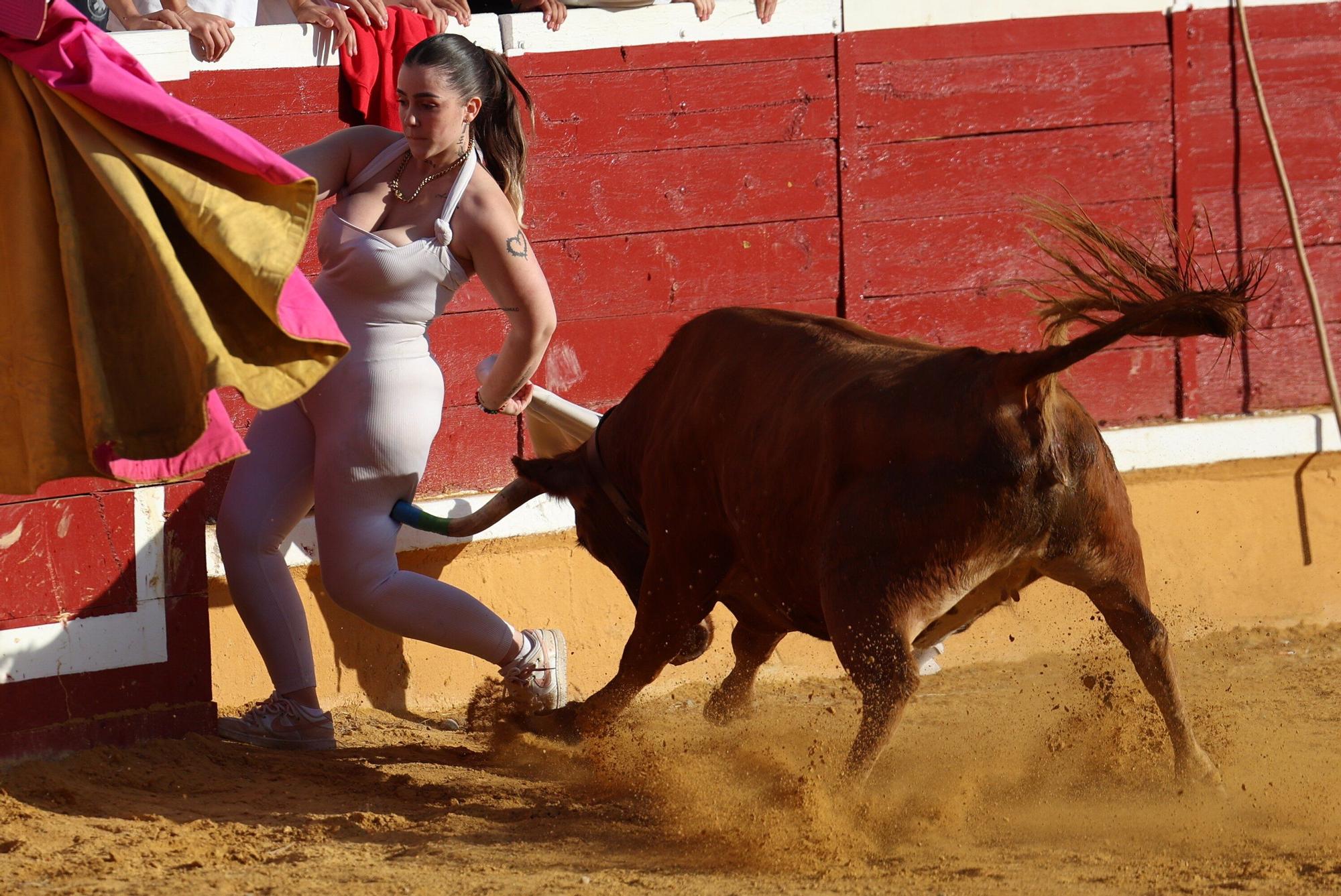Suelta de vaquillas tras el tercer encierro de Tudela