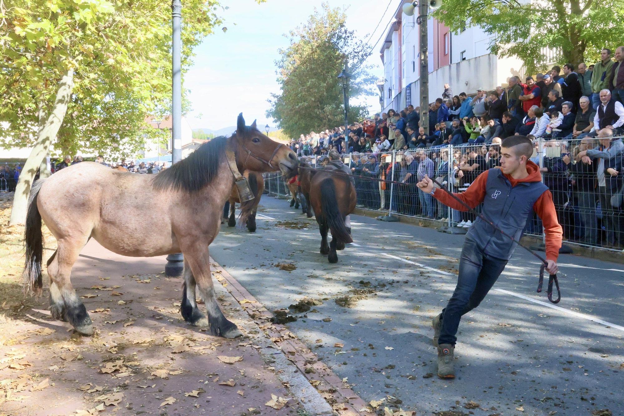 En imágenes: Miles de personas disfrutan de la 630 edición de la feria de Agurain