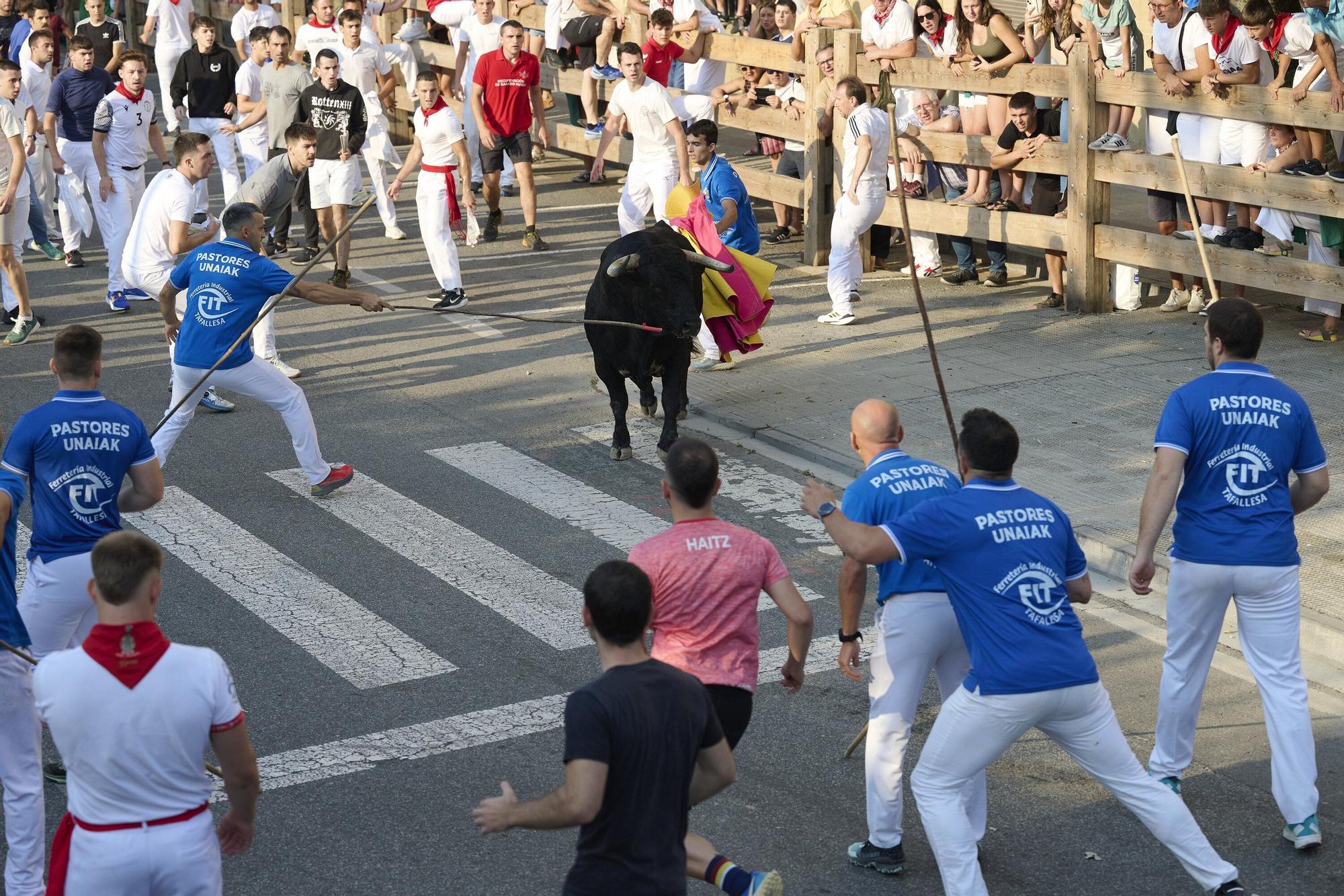 Fotos del primer encierro de fiestas de Tafalla