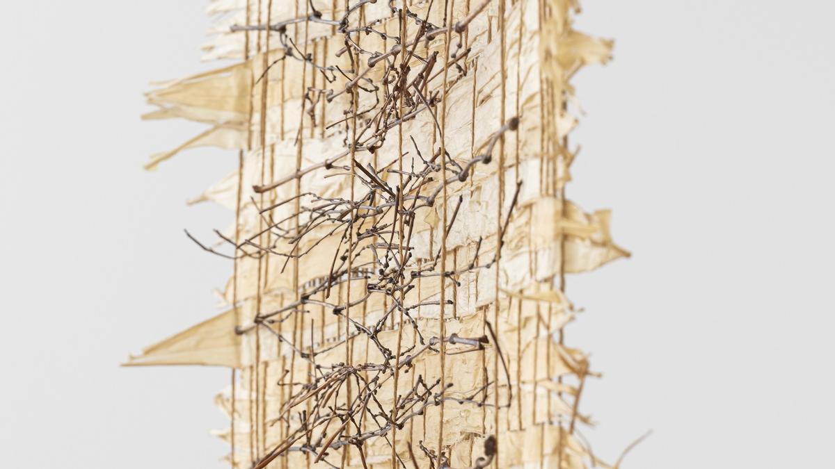 Memoria vegetal, de María Cueto