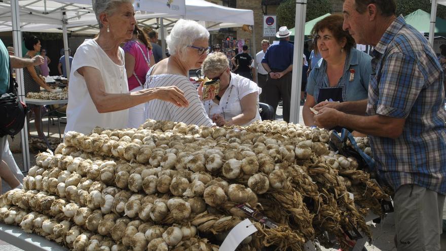 Agenda cultural y de ocio para el fin de semana en Navarra: 25-27 julio