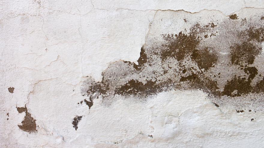 El método de ‘La Ordenatriz’ para eliminar el moho con solo dos ingredientes: fácil, rápido y eficaz