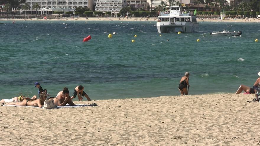Karabela Portugaldarraren beste 7 kasu, denak Bizkaiako hondartzetan
