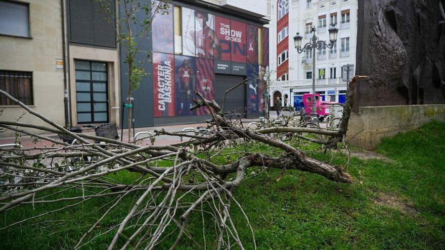 Euskadi, en alerta de nuevo por fuertes rachas de viento