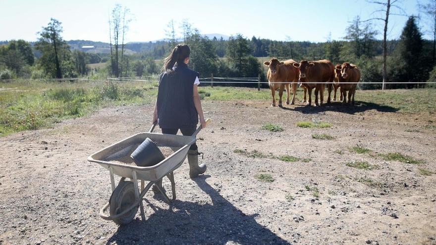 Uno de los mayores desafíos para Euskadi en el sector agrario