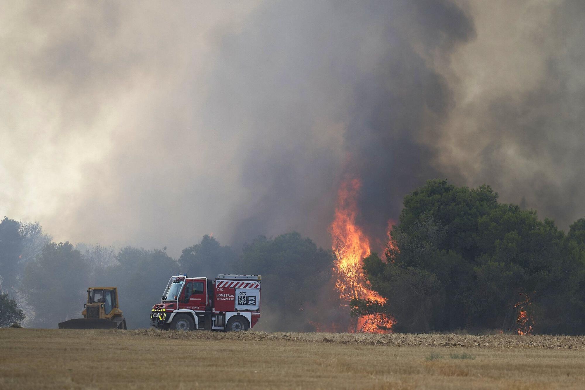 Fotos del incendio forestal cerca de Carcastillo