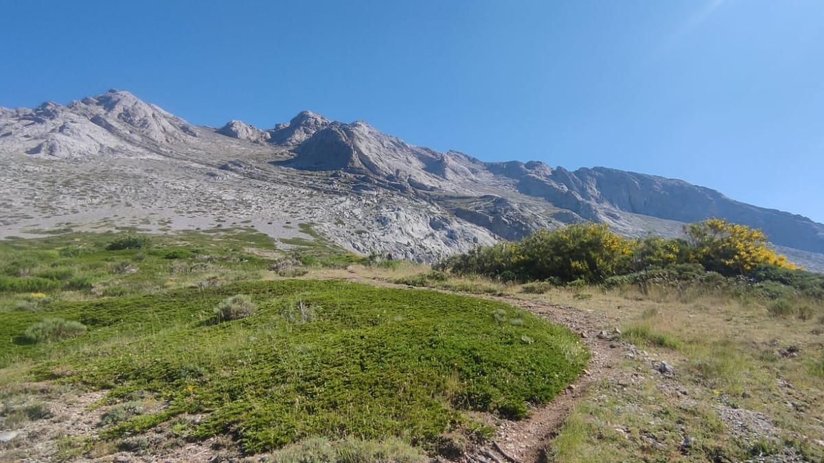 Al fondo la cresta del Espigüete