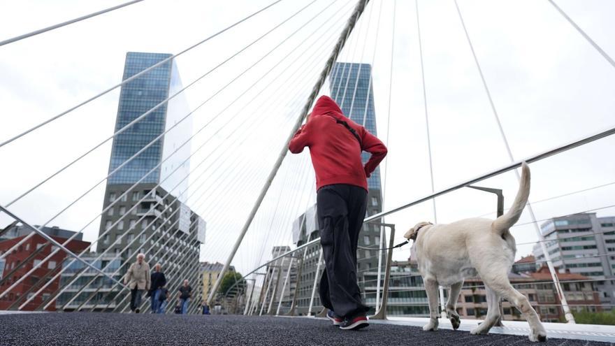 Bilbao instará al CTB a permitir perros de más de 8 kilos en Metro Bilbao
