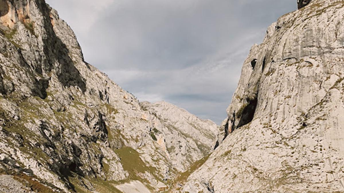 Bulnes