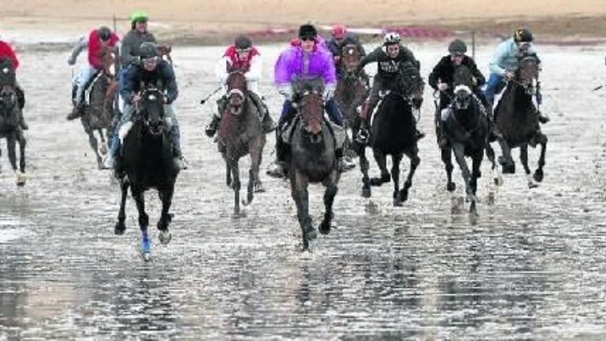 El jockey Colino (en el centro de morado) liderando el pelotón de purasangres con su caballo &quot;Tak Free&quot;.