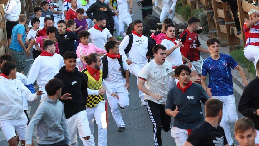 Fotos del quinto encierro de las fiestas de Tudela 2025