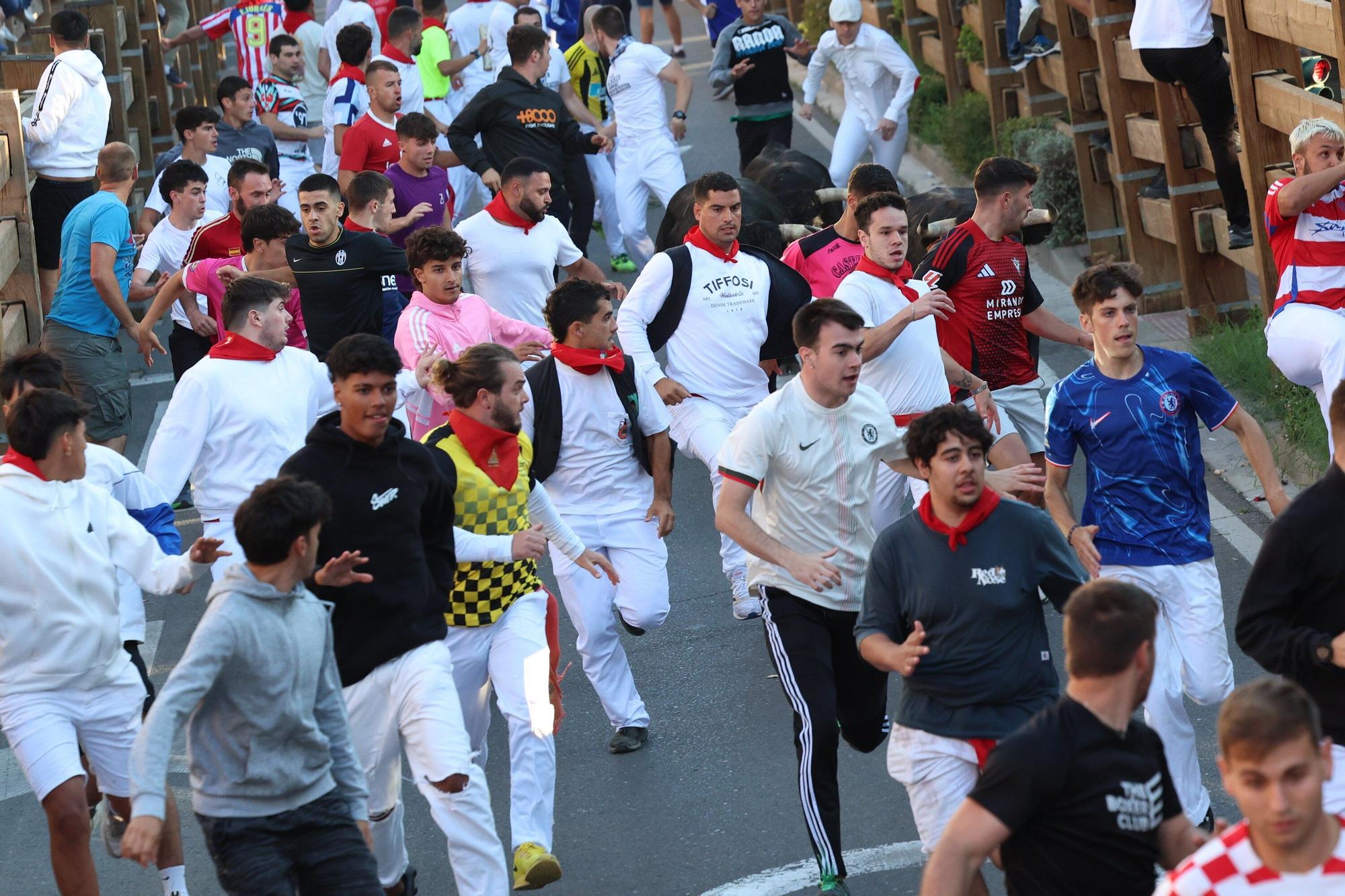 Fotos del quinto encierro de las fiestas de Tudela 2025