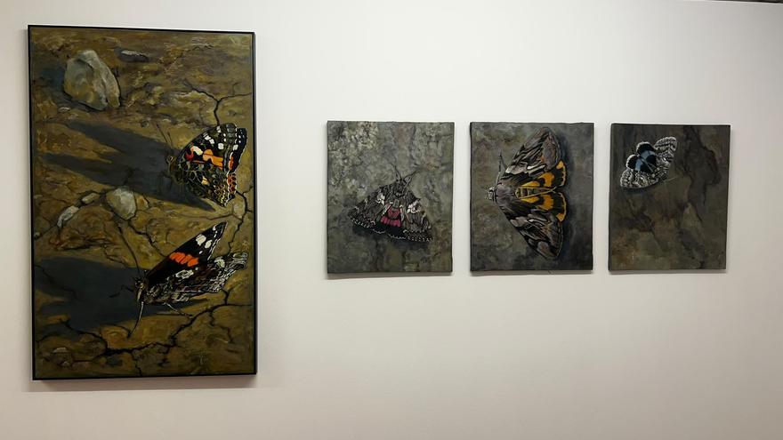 Los insectos protagonizan la nueva exposición de Juan Sagastizabal en la librería Zuloa