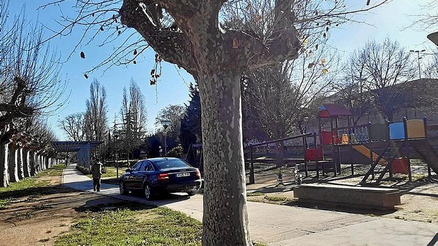 Un coche circula por el paseo del Prado .  | FOTO: M.J.P.M.