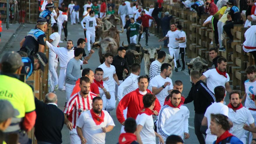 Fotos del cuarto encierro de las fiestas de Tudela 2025