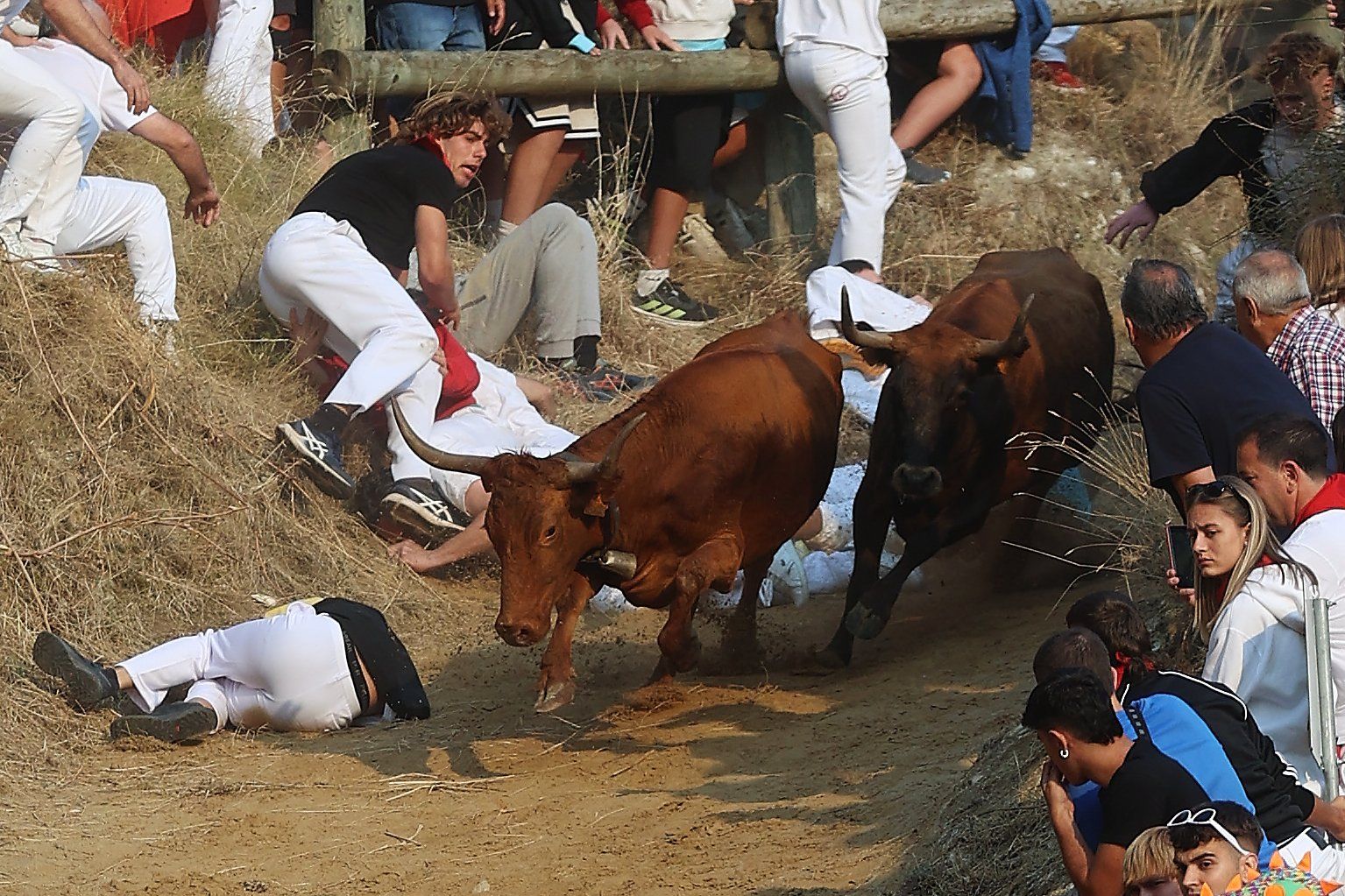 Fotos del cuarto encierro del Pilón de Falces 2025