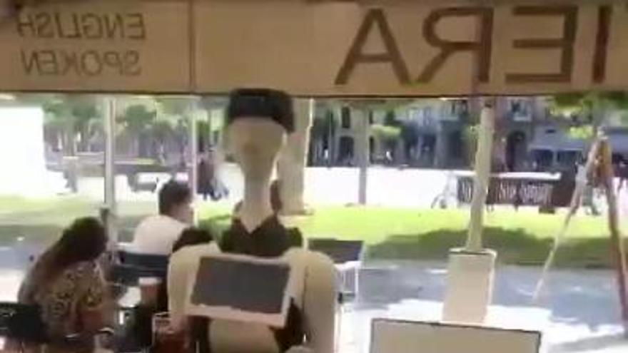 El robot Alexia atiende una terraza