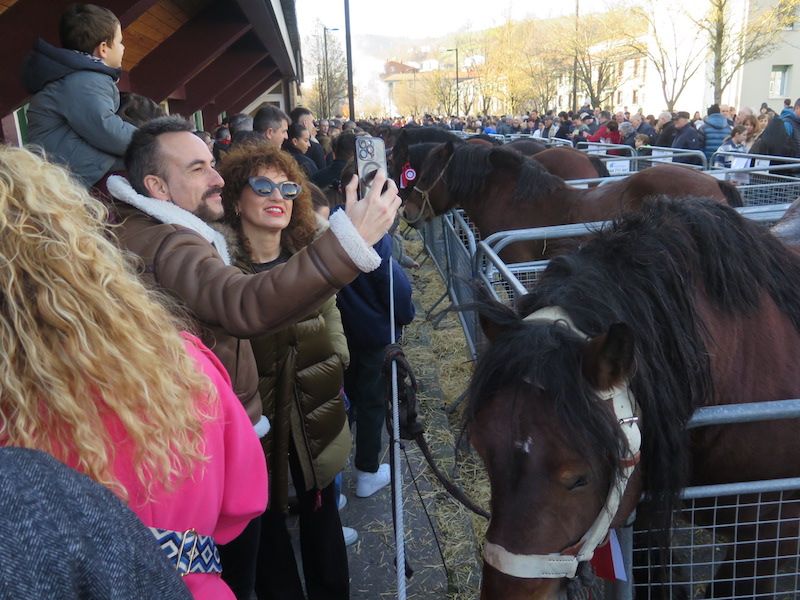 La feria de Santa Lucía, en imágenes