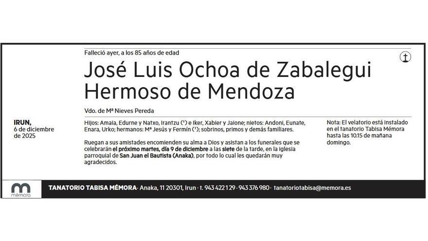 JOSE LUIS OCHOA DE ZABALEGUI HERMOSO DE MENDOZA