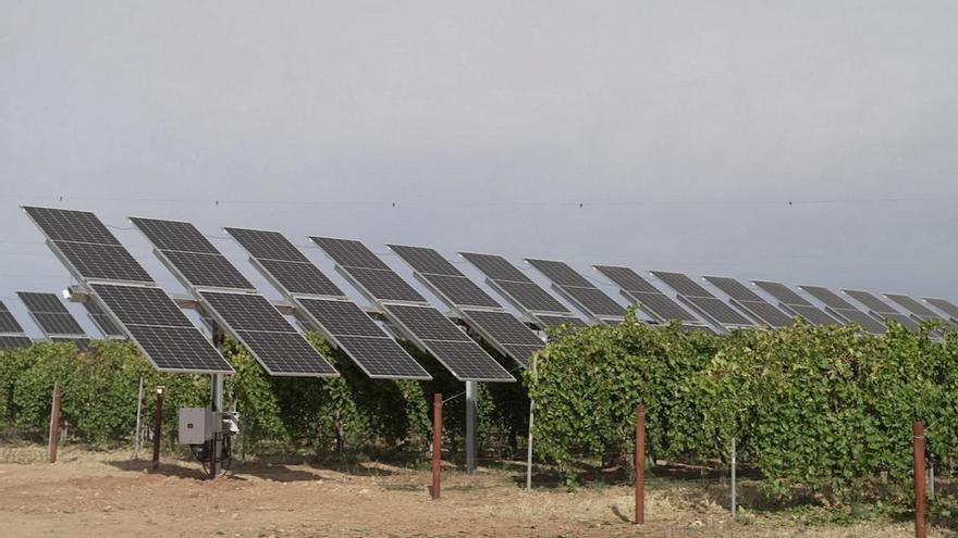 Vitoria acogerá la primera planta fotovoltaica para producir manzanas de sidra de Euskadi