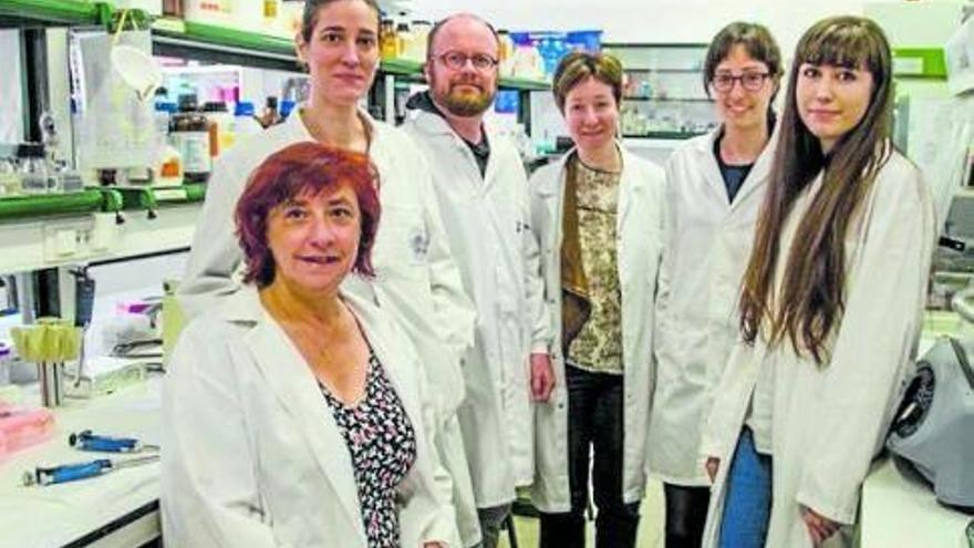Equipo de investigadores de la Universidad de Zaragoza, con Rosario Osta al frente.