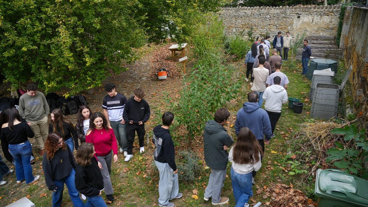 &#039;Huerto Ecológico Urbano&#039; de la UPV/EHU