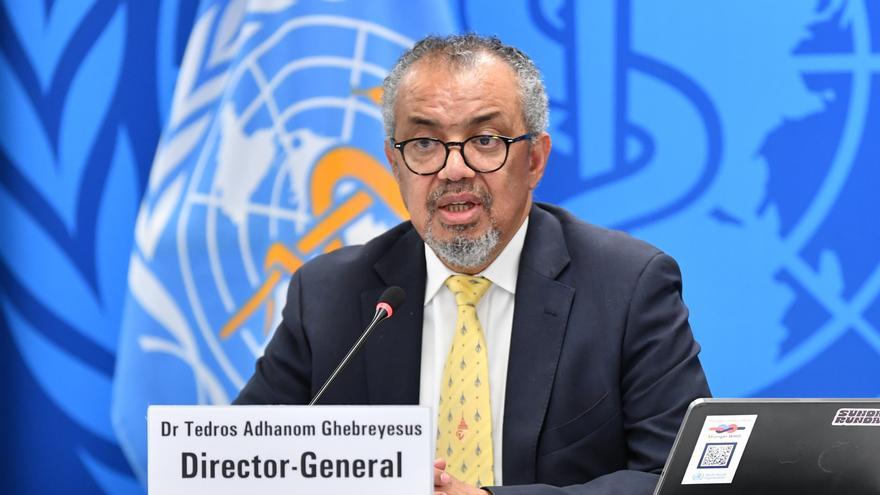 La OMS confirma la infección por hantavirus en cinco de los ocho casos sospechosos