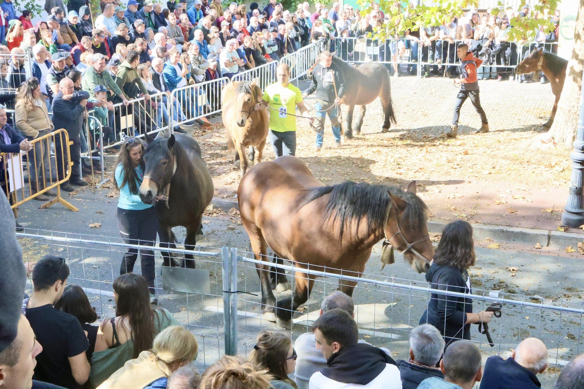 En imágenes: Miles de personas disfrutan de la 630 edición de la feria de Agurain