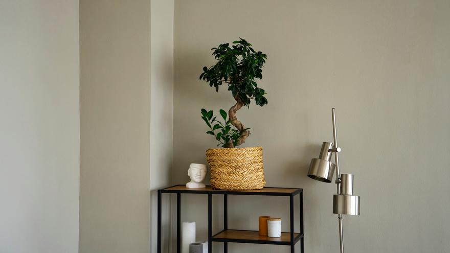 Estanterías esquineras, la solución inteligente para ganar espacio en casa