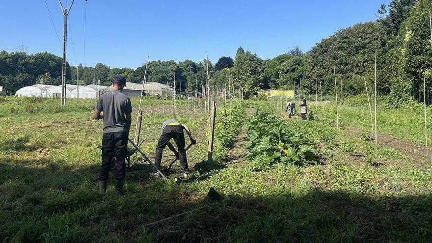 La Escuela Agraria de Hernani entrega 21 diplomas