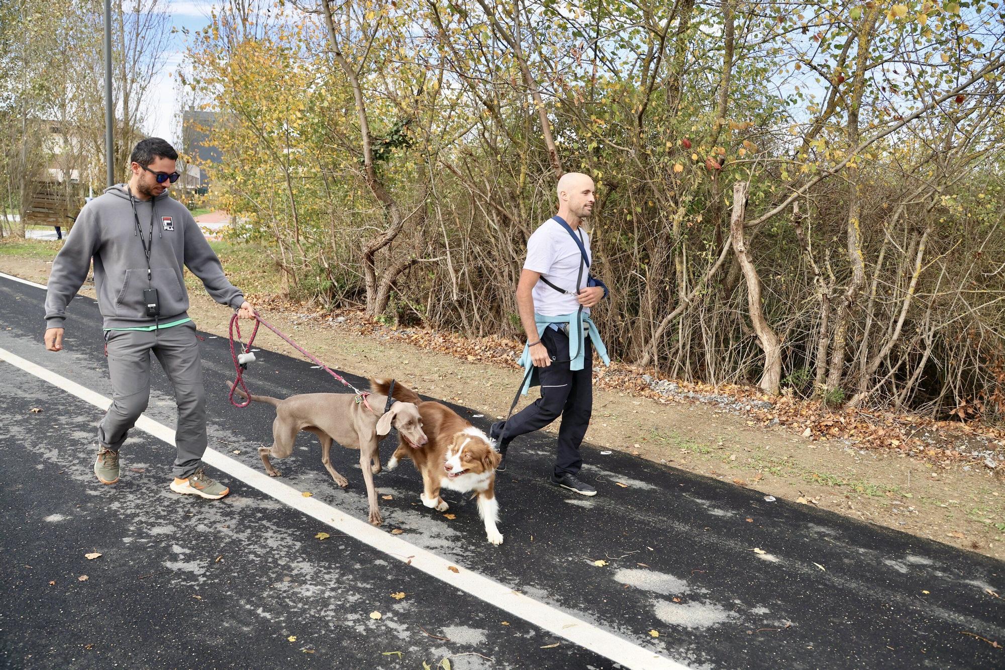 En imágenes: El nuevo camino peatonal y ciclista entre Olarizu y Goikolarra