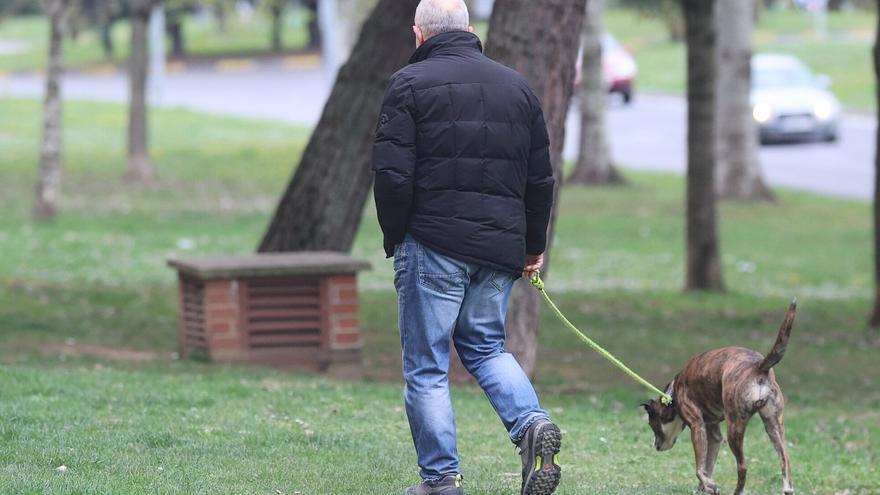 ¿Por qué las enfermedades transmitidas por garrapatas afectan más a hombres? Estas son las razones de los expertos