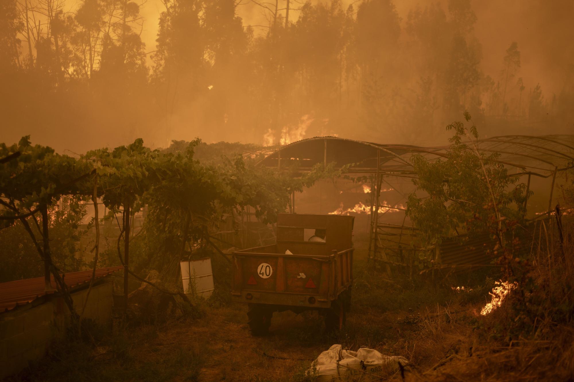Los incendios no dan tregua en Ourense: los vecinos trabajan en labores de extinción del fuego de Carballeda de Avia