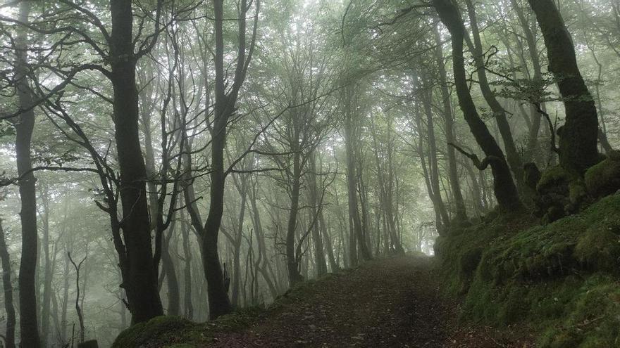 Eibar compra una parcela de 28,18 hectáreas en el monte Urko como parte del programa de mejora de su ecosistema