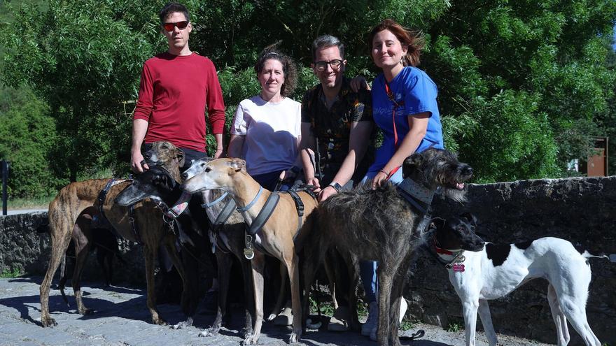 Galgo Leku, un refugio en Navarra antes de llegar a un hogar
