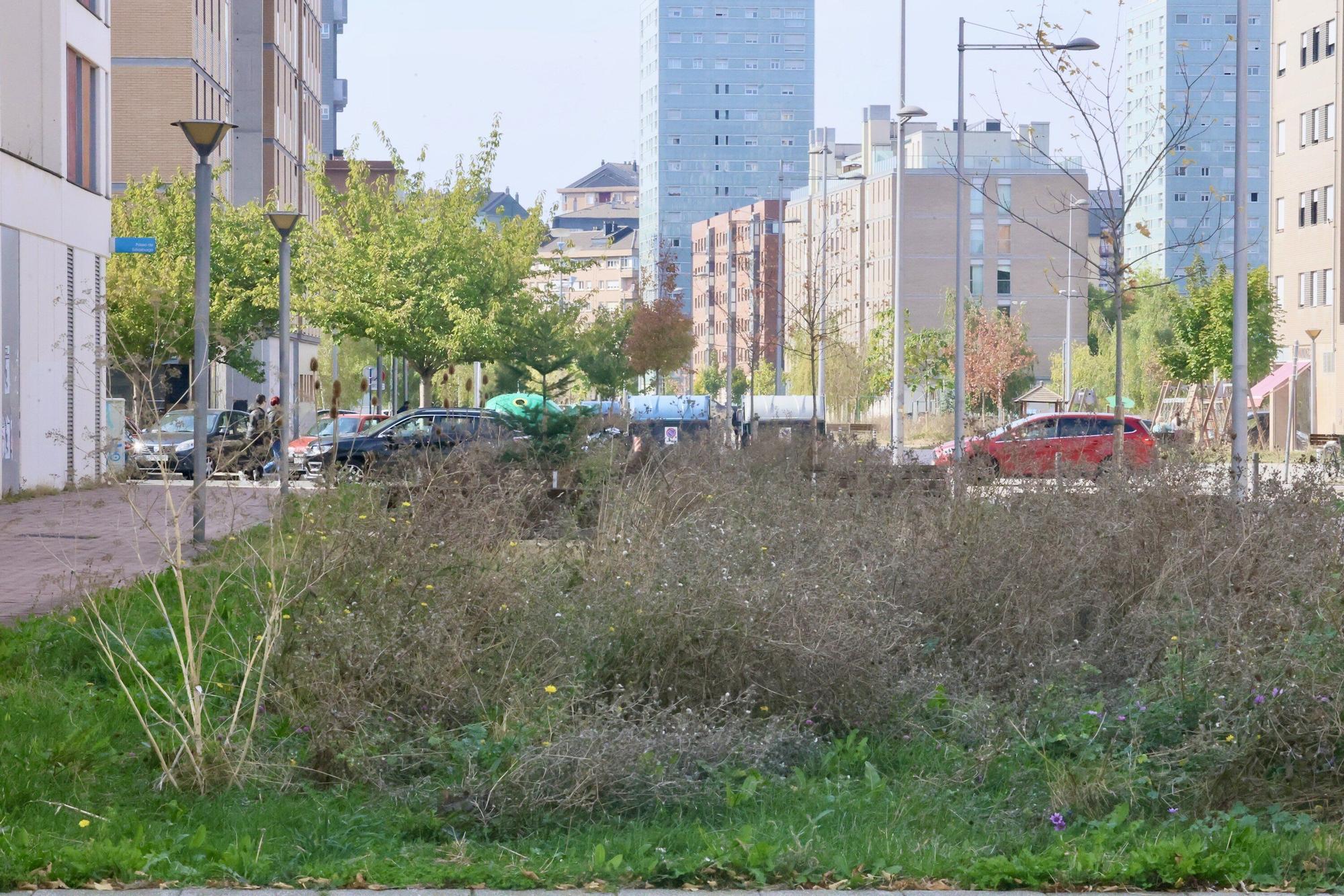En imágenes: Vitoria-Gasteiz se prepara para adecentar el verde de la ciudad