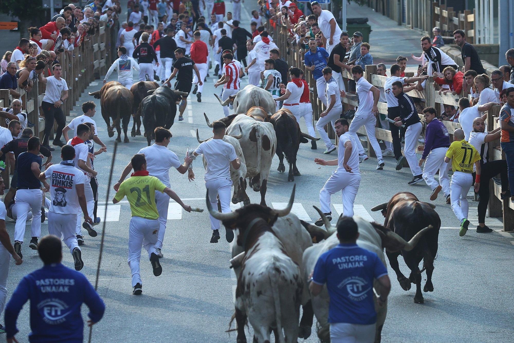 Fotos del quinto encierro de las fiestas de Tafalla 2025