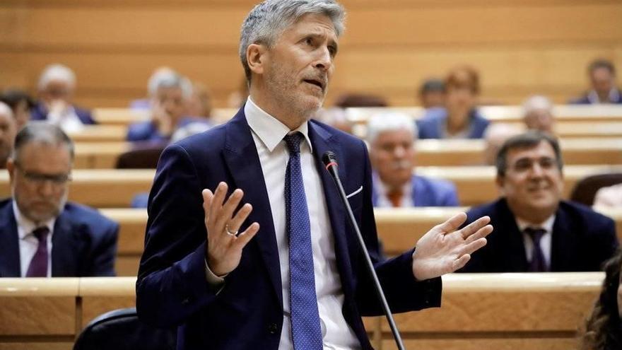 Fernando Grande-Marlaska, ministro del Interior.