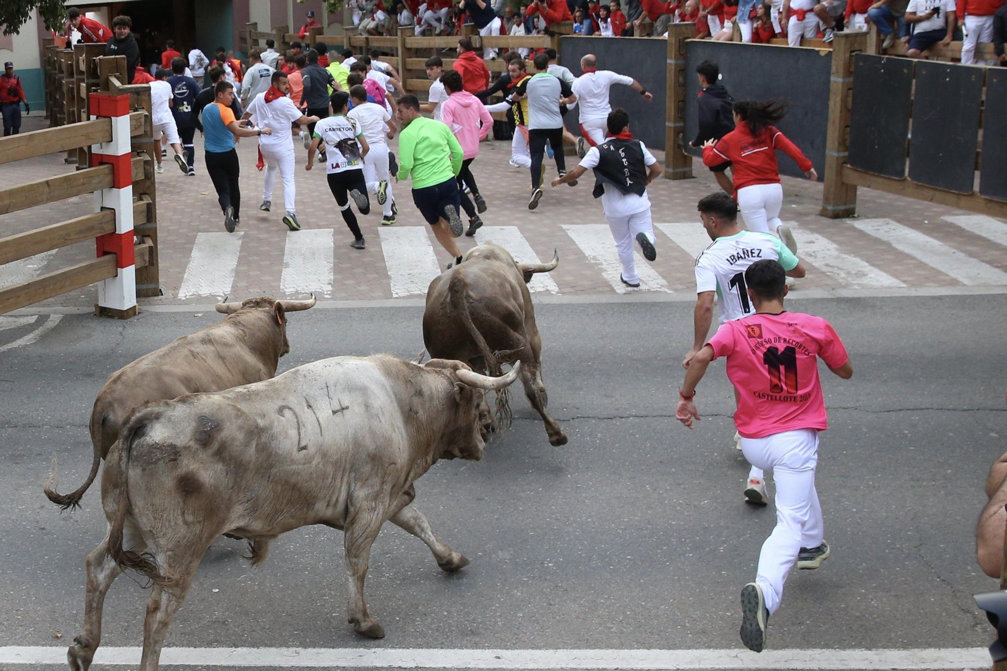 Fotos del sexto y último encierro de las fiestas de Tudela 2025
